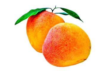 mango isolated on a white background