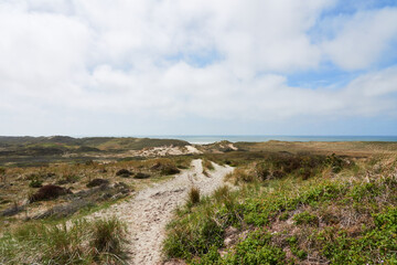 Nature reserve area near the village of Bergen in the north of Holland. This nature reserve is one of the largest in the Netherlands . dunes and sea.  no people, copy space