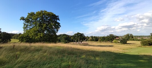 Obraz premium Summer, English Countryside, North Yorkshire, UK