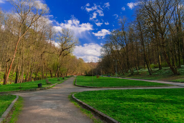 Fototapeta na wymiar September park outdoor landscape nature environment space walking side without people green grass meadow and bare branches trees in clear weather morning time