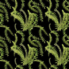 Fern leaves seamless pattern on black background, watercolor hand drawn