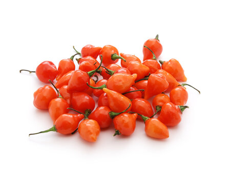 pimenta biquinho vermelha, red beak pepper