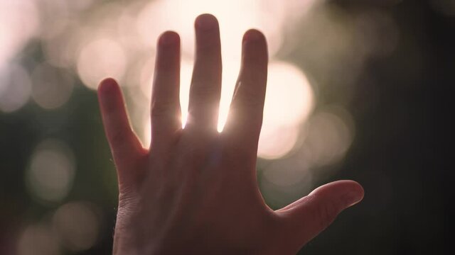 Male hand close up. The sun shines into the camera through the foliage of the trees.