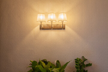 glowing floor lamp