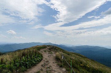 Bieszczady połonina Caryńska 