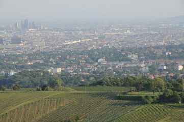 Fototapeta na wymiar Blick auf Wien vom Leopoldsberg, Österreich, 25.05.2012