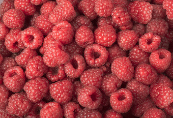 Background with ripe raspberry berries