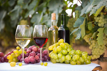 still life with glasses of red and white wine and grapes in field - obrazy, fototapety, plakaty