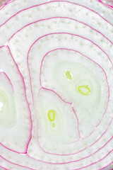 Onion Macro,Top view of back lighted onion slices