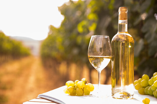 still life with glass of White wine grapes on table in field