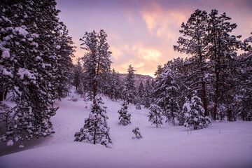 Sunrise over a valley meadow in under a blanket of fresh snow after spring blizzard in Bailey, Colorado.