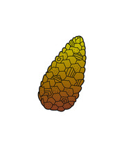 Hand drawn vector illustration of fir cones. Autumn and winter plant decorated with pattern Design element for print, label, logo, packaging template. Coloring. Vector outline illustration.