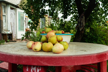 Freshly picked ripe apples are in a plate on the table.