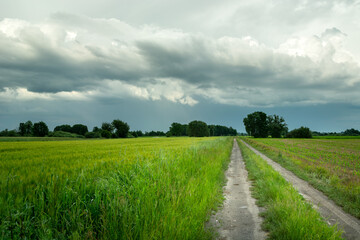 Fototapeta na wymiar Rural road through green fields and cloudy sky