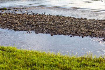 selective focus on small stones At the water's edge, there is a small green grass, the picture of nature gives a feeling of freshness, the view is low. There is space for text. nature wallpaper