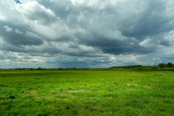 Fototapeta na wymiar Cloud with rain on the horizon and green meadow