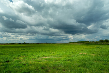 Fototapeta premium Cloud with rain on the horizon and green meadow