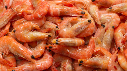 Shrimps background texture. A lot of shrimps. Cooked shrimps.