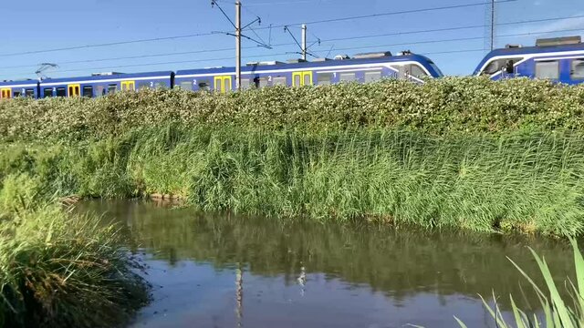 LEIDEN, NETHERLANDS - Aug 07, 2021: A Dutch electric NS passenger train passing green nature reserve in Leiden, The Netherlands