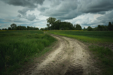 Fototapeta na wymiar Dirt road through fields and dark clouds