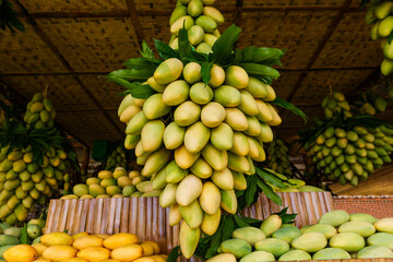 Mango festival. Stand with fresh yellow mango fruits in the street market.
