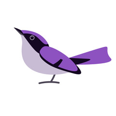 wren  bird, vector illustratio, flat style, side