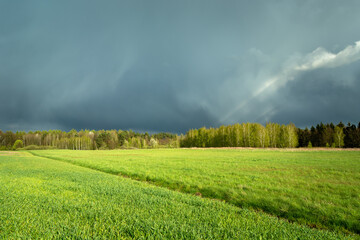 Storm cloud over the forest and meadow