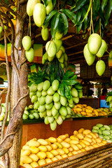 Mango festival. Stand with fresh yellow mango fruits in the street market.