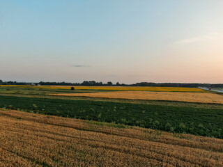 Aerial view from the drone of a wheat field. Agricultural industry.
