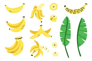 Banana set. Exotic tropical fresh fruit, whole and sliced with green leaves, bananas peel, vector cartoon minimalistic style isolated illustration © Mariya