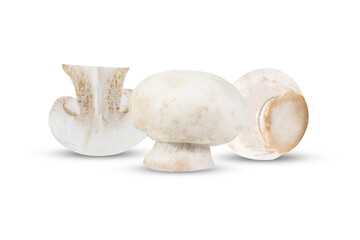 Champignons on an isolated white background. Mushrooms three