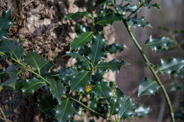 Spring imagery on Landgoed Beeckestijn