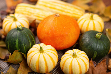 Autumn composition with pumpkins, corns, leaves and chestnut on brown wooden table. Concept of fall harvest or Thanksgiving day.