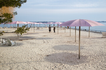 Beach chairs with umbrellas on a sunny day in winter