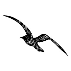 Black seagull, hand drawn strokes marine sea gull bird. Drawing sketch. Inspirational body flash tattoo ink for sailor. Nautical vector.