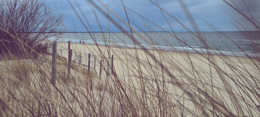 sand dune fence - obrazy, fototapety, plakaty