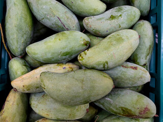 Close up of green mangoes on the marketplace, supermarket and store.