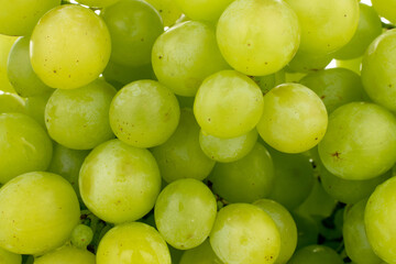 One ripe bunch of seedless grapes, close-up.