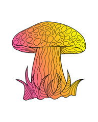 Hand sketches of doodles of mushrooms. Vector sketches of autumn forest plants. Design element for print, label, logo, packaging, template, badge, book, coloring book.
