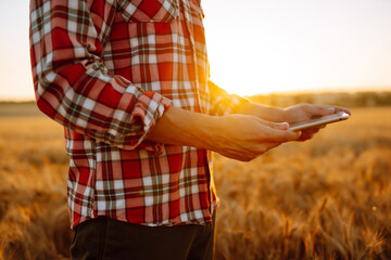 Smart farming. Farmer using digital tablet on a wheat field. Agriculture and harvesting concept.