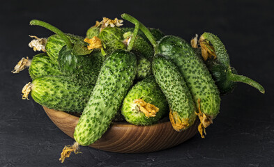 young fresh and green cucumbers in a plate