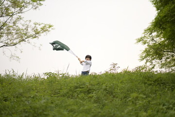 cheerful active little boy celebrating 14th of August, Pakistan Independence day with waving Pakistani flag. F-9 Park Islamabad, Pakistan. 