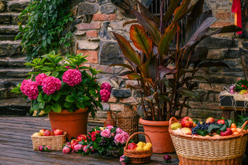 Fototapeta na wymiar autumn still life.decor.flowers and fruits