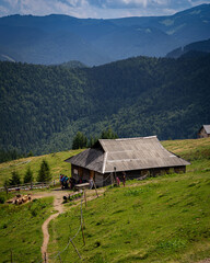 Fototapeta na wymiar Alpine house in the mountains with a beautiful view of the Carpathians.