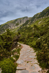Fototapeta na wymiar Mountain path