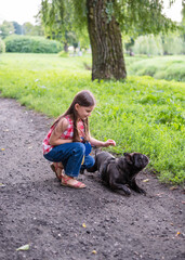 Naklejka na ściany i meble Girl 6 years old on a walk with the dog. Girl and French Bulldog. A little girl stroking a dog in the park.