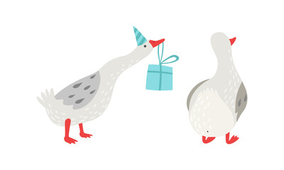 Grey Goose Character in Birthday Hat Carrying Gift Box Vector Set