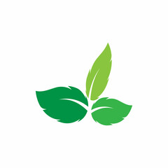 Fototapeta na wymiar Leaf and Shutter Lens Aperture for Nature Photographer logo design inspiration