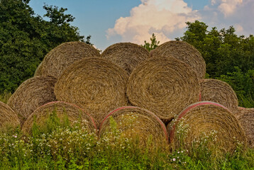Bele słomy. Straw bales.  © Grzegorz