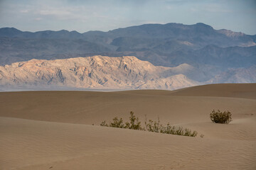MESQUITE FLATS DUNES AND MOUNTAINS DEATH VALLEY NP 1